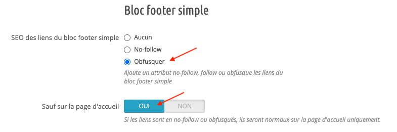 Seo Bloc Footer Simple